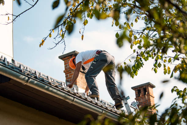 Roof Coating Services in Nevada City, CA