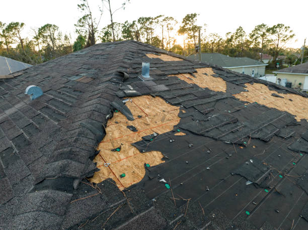 Best Solar Panel Roofing Installation  in Nevada City, CA