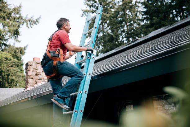 Best Skylight Installation and Repair  in Nevada City, CA
